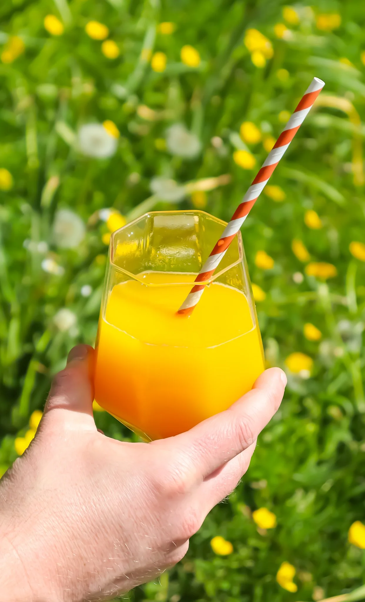 Food & Drink Photography