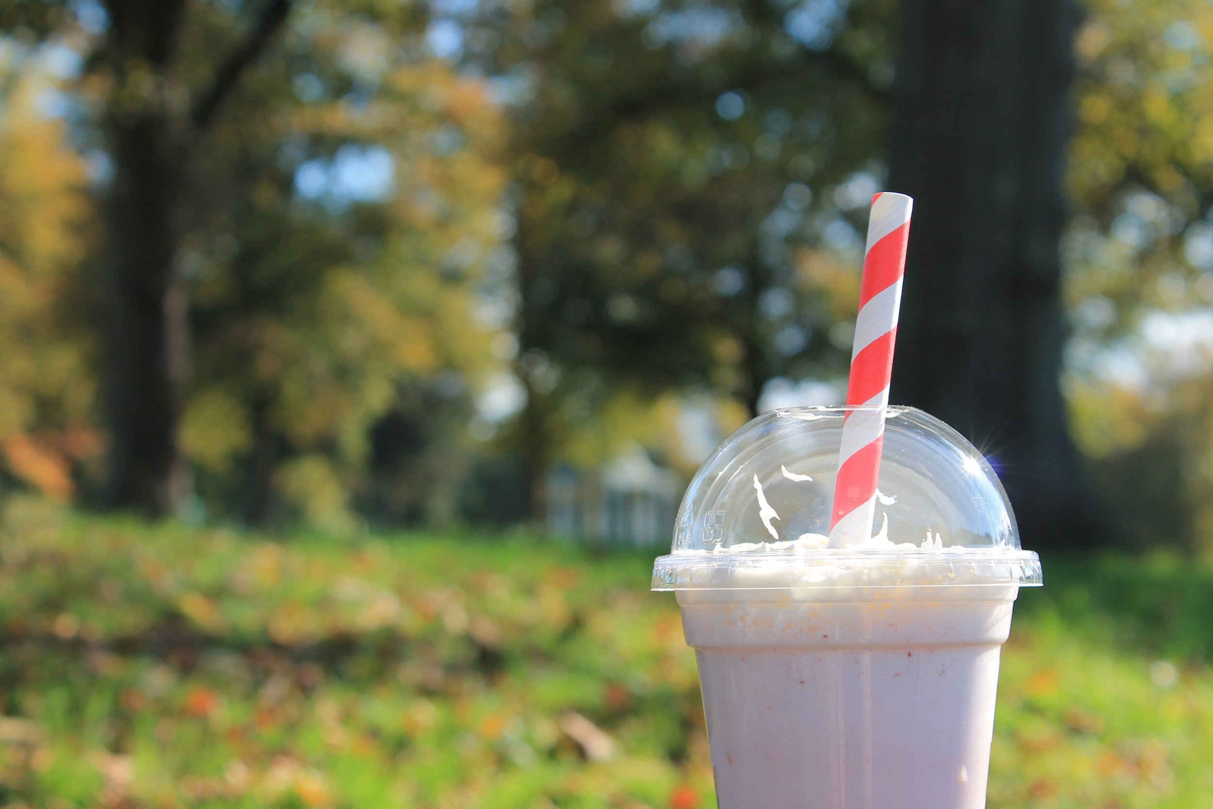 Food & Drink Photography