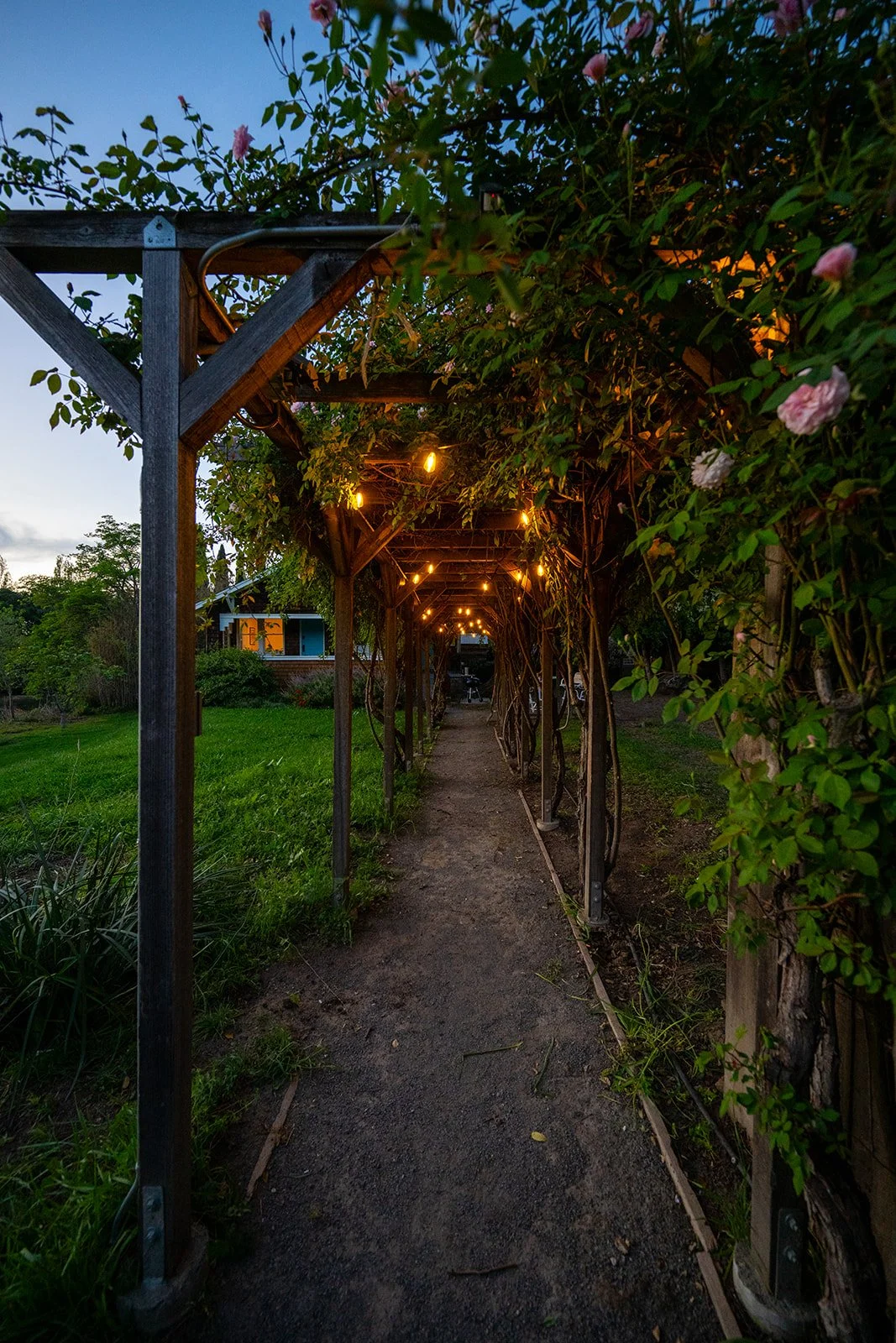 _AB15437.jpg