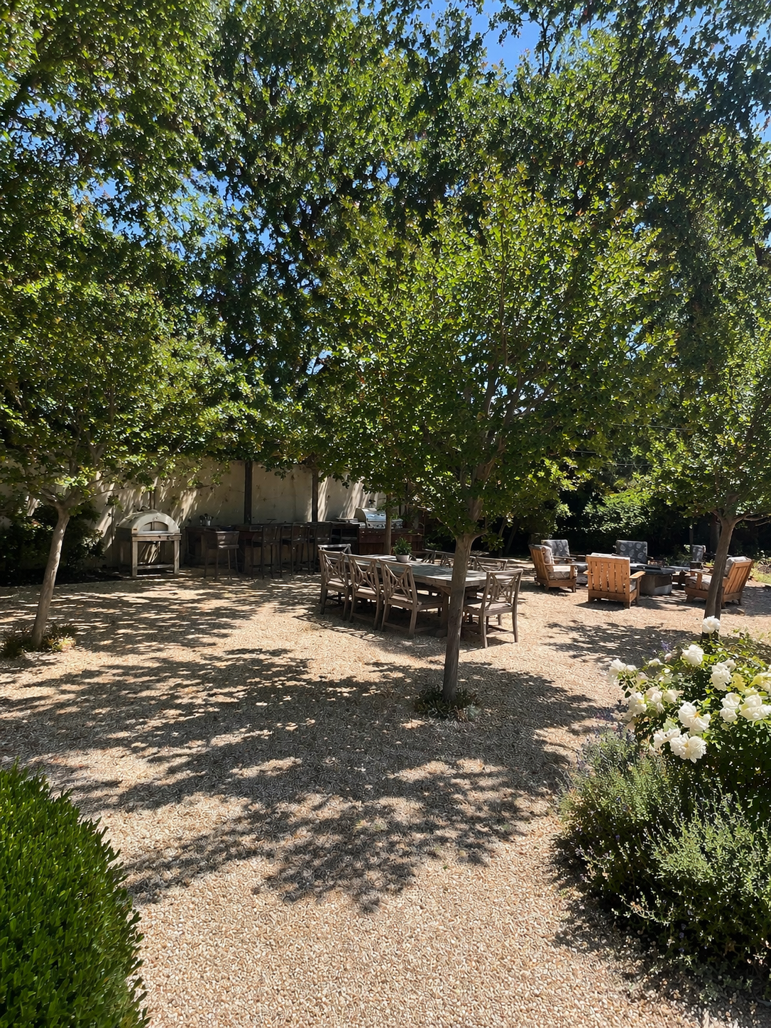 Serene garden patio with tree canopy.png