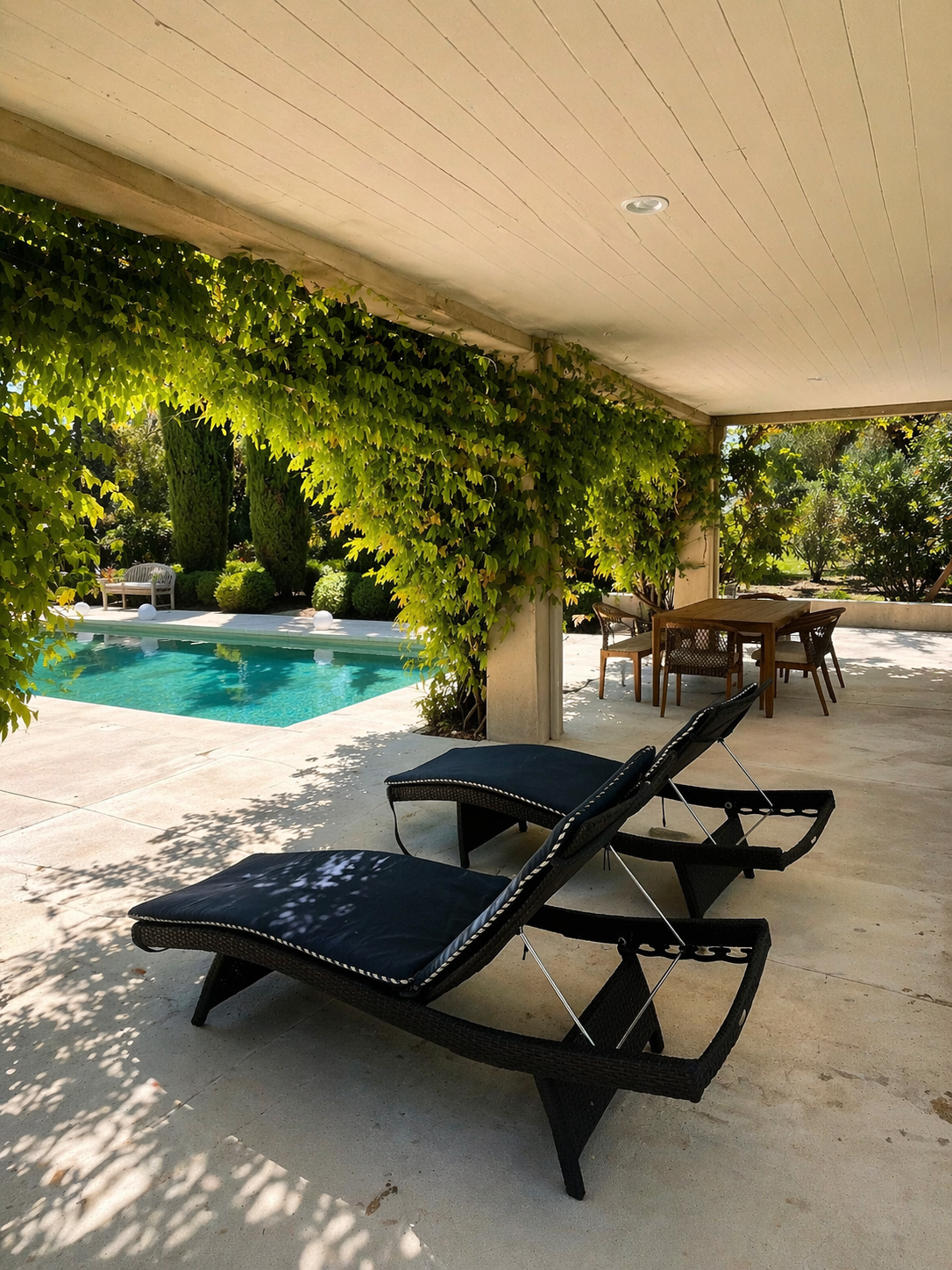 Sunlit poolside patio with greenery.png