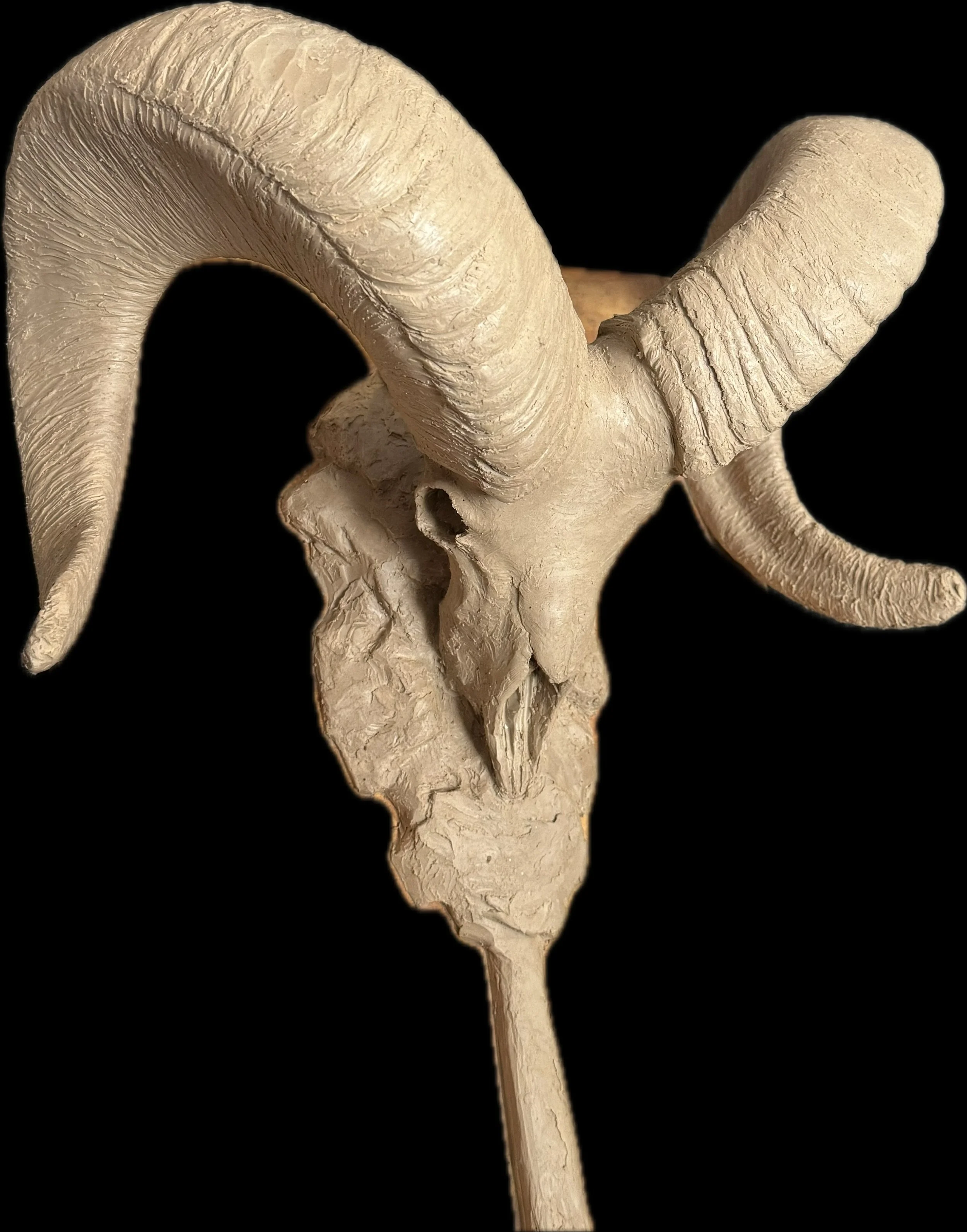 "Age of the Ram" by Greg Kelsey