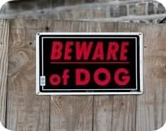 Bucks County Dog Bite Attorney