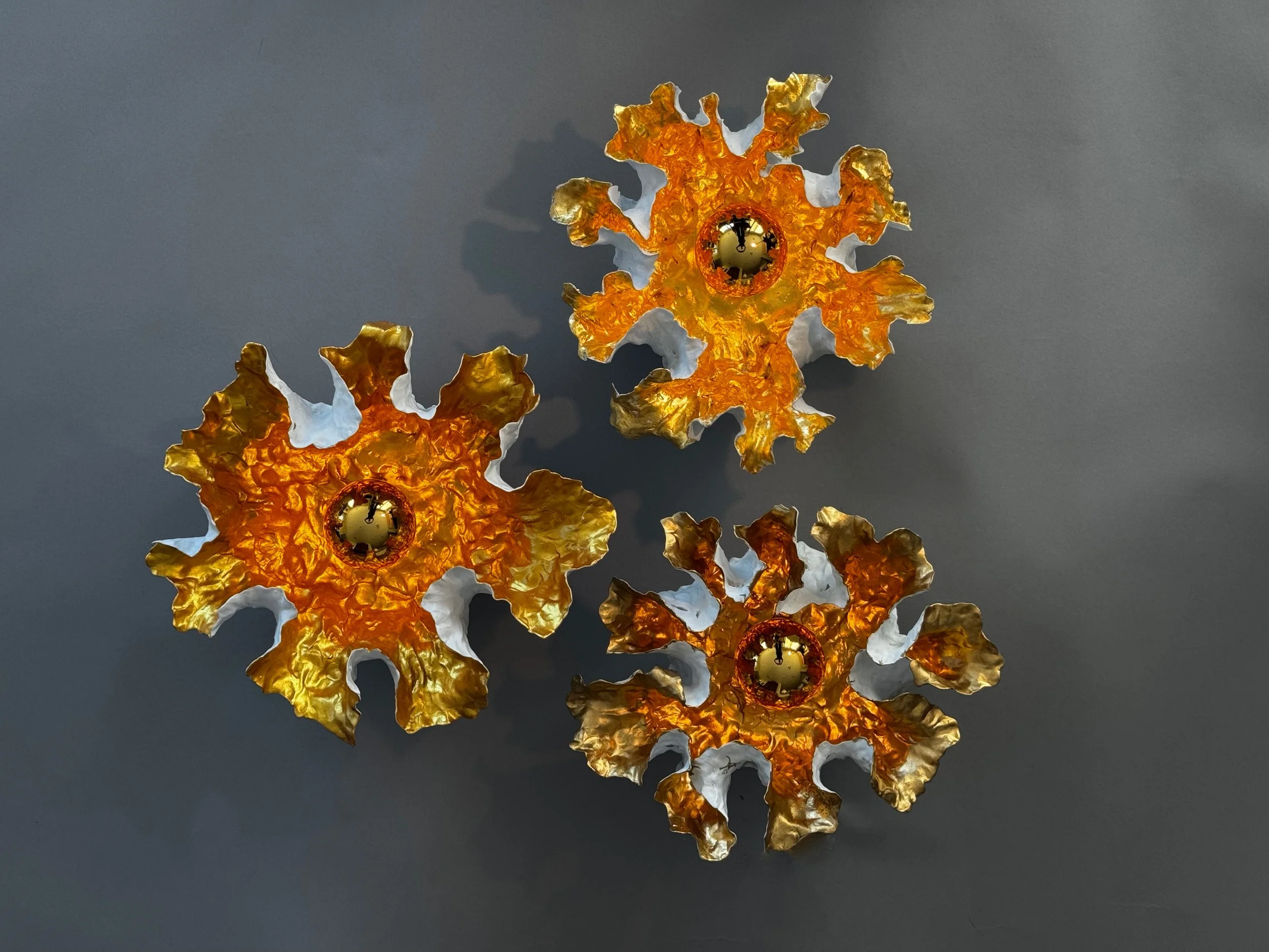 FM05 Ranunculus F.jpg