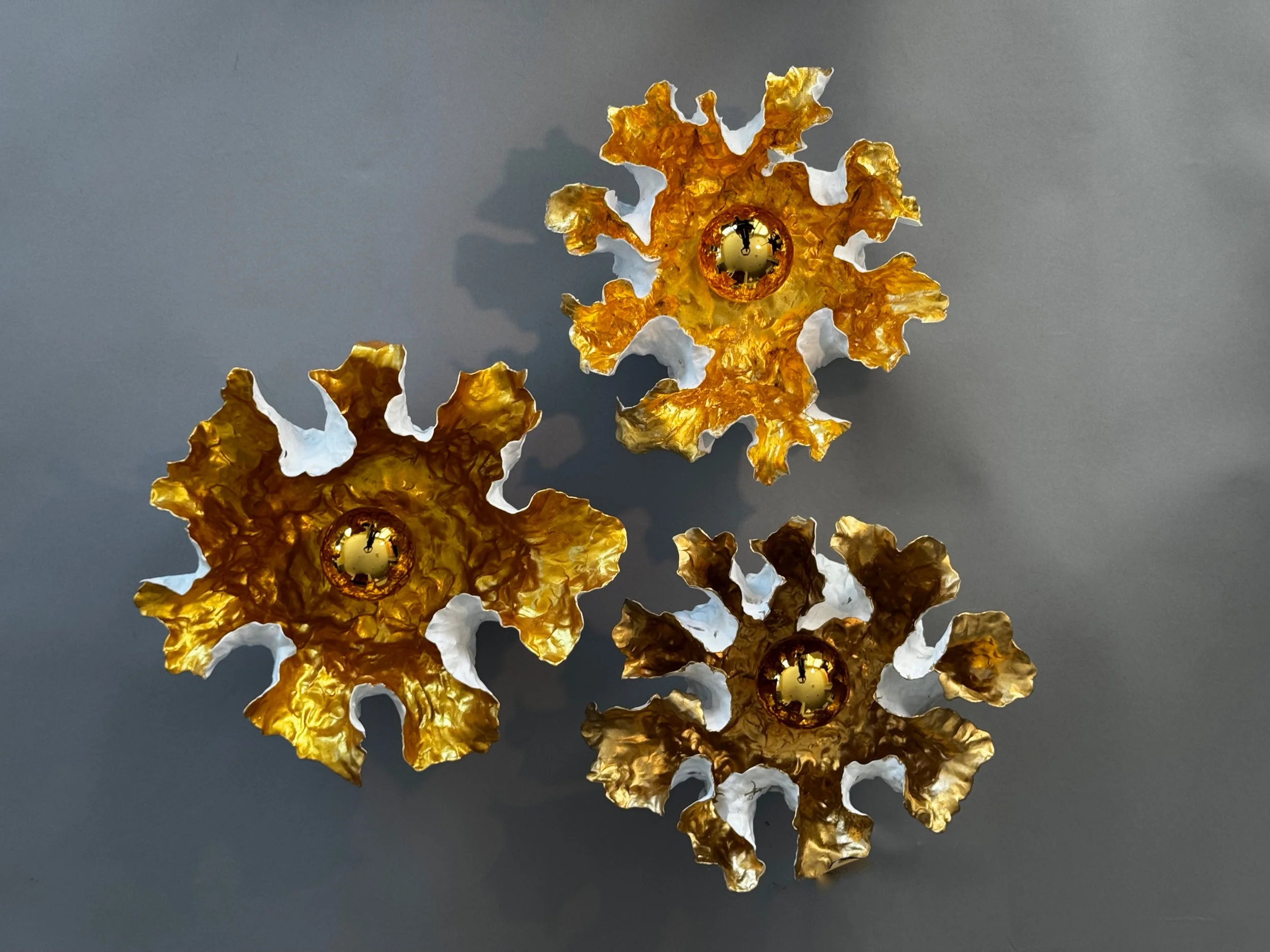 FM05 Ranunculus E.jpg