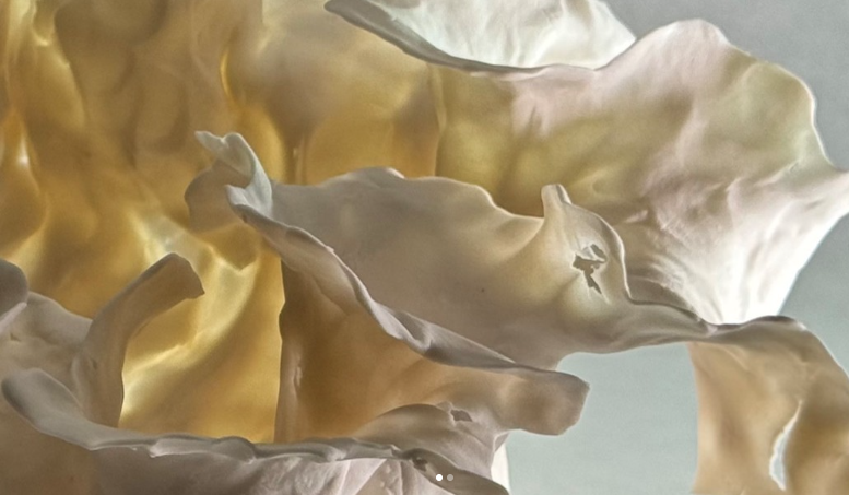 Burleigh Bowl Close Up.png