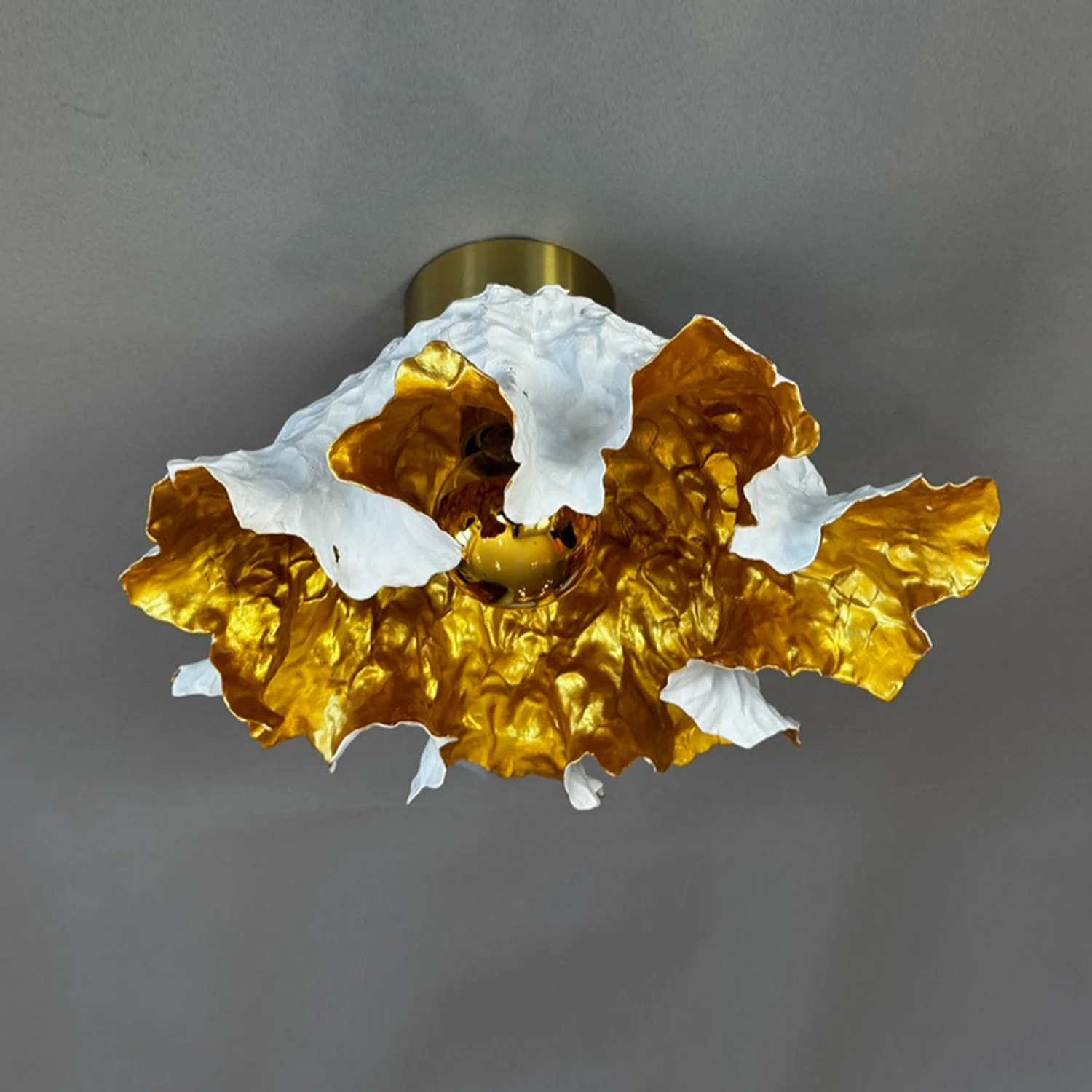 FM05 Ranunculus Flush Thumb.jpg