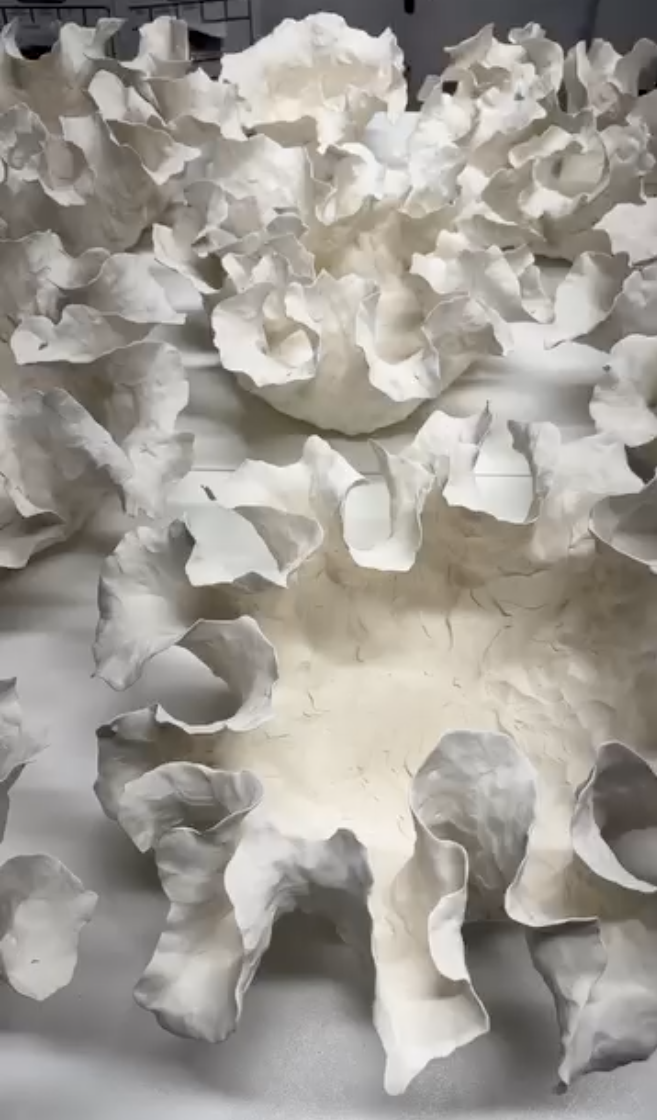 Burleigh Bowl Grouping.png