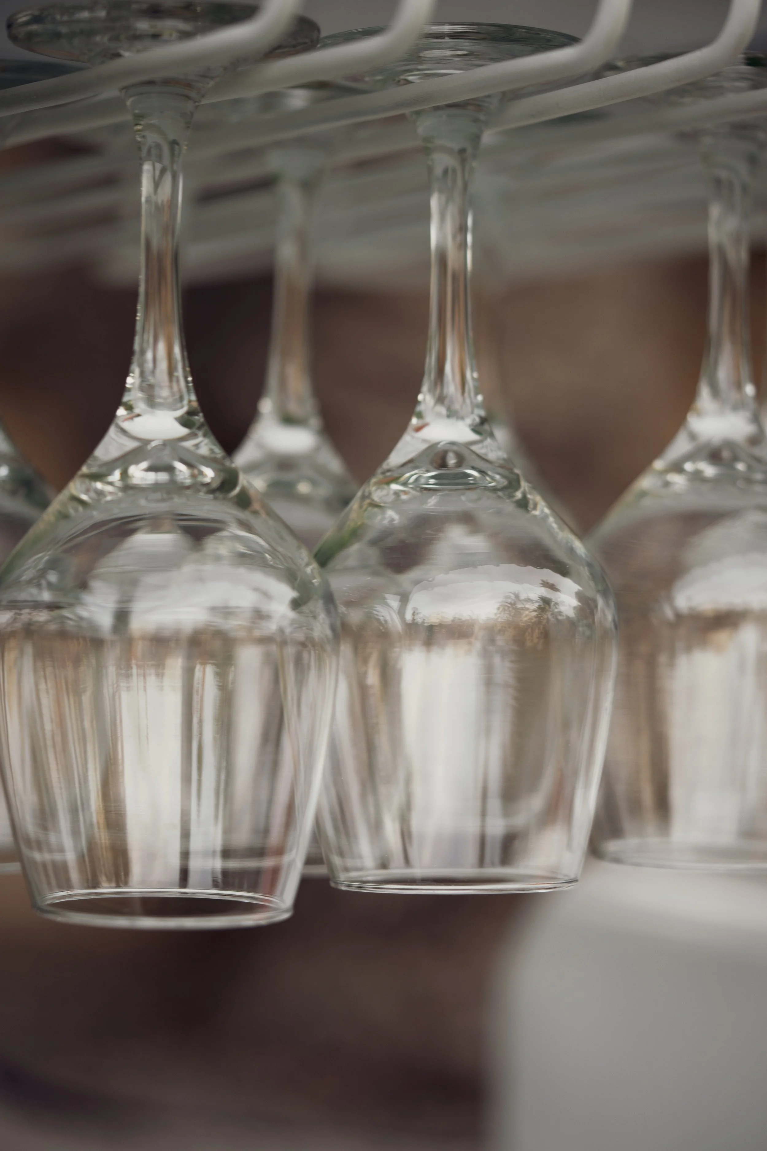 ginebra de sal-33.jpg