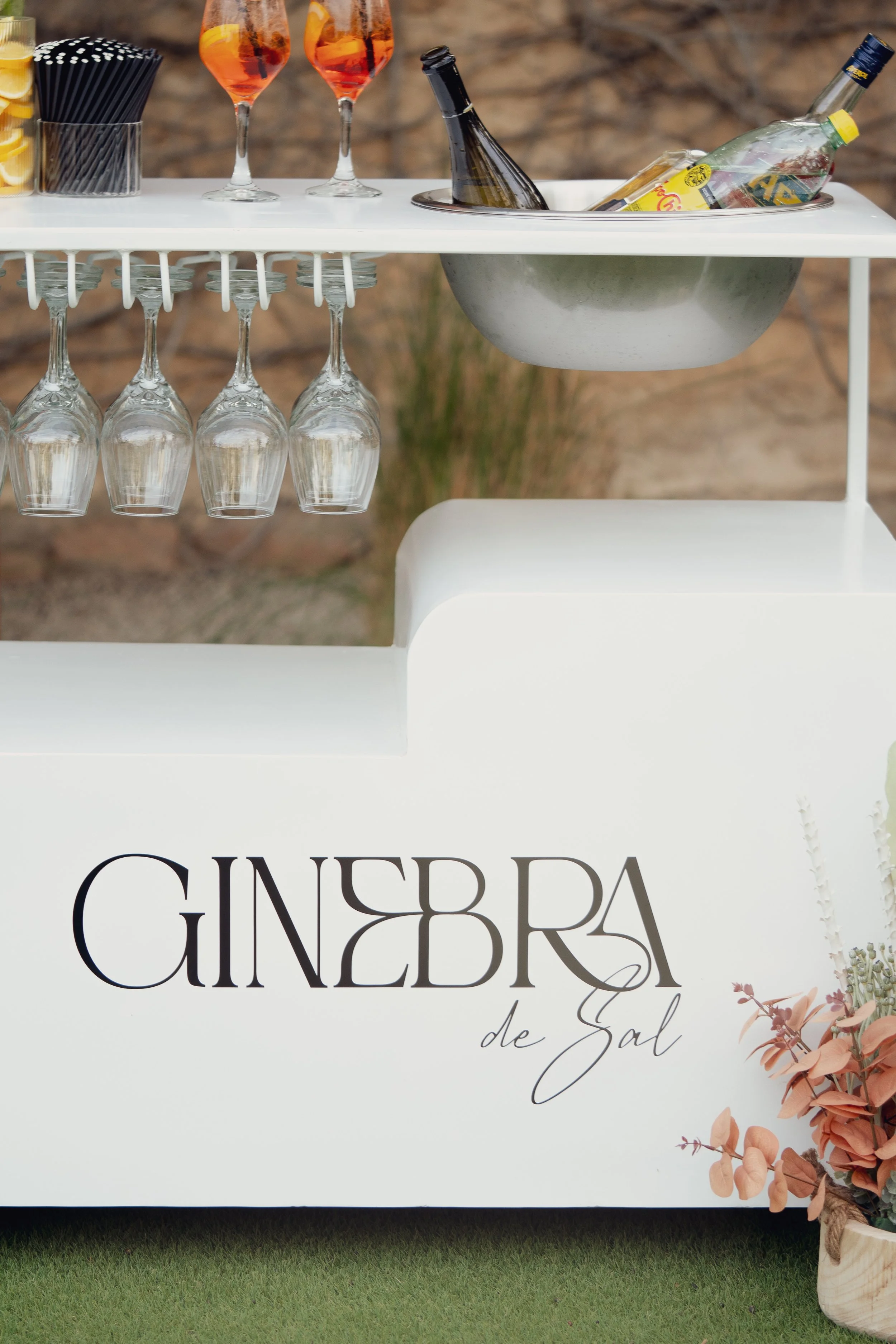 ginebra de sal-20.jpg