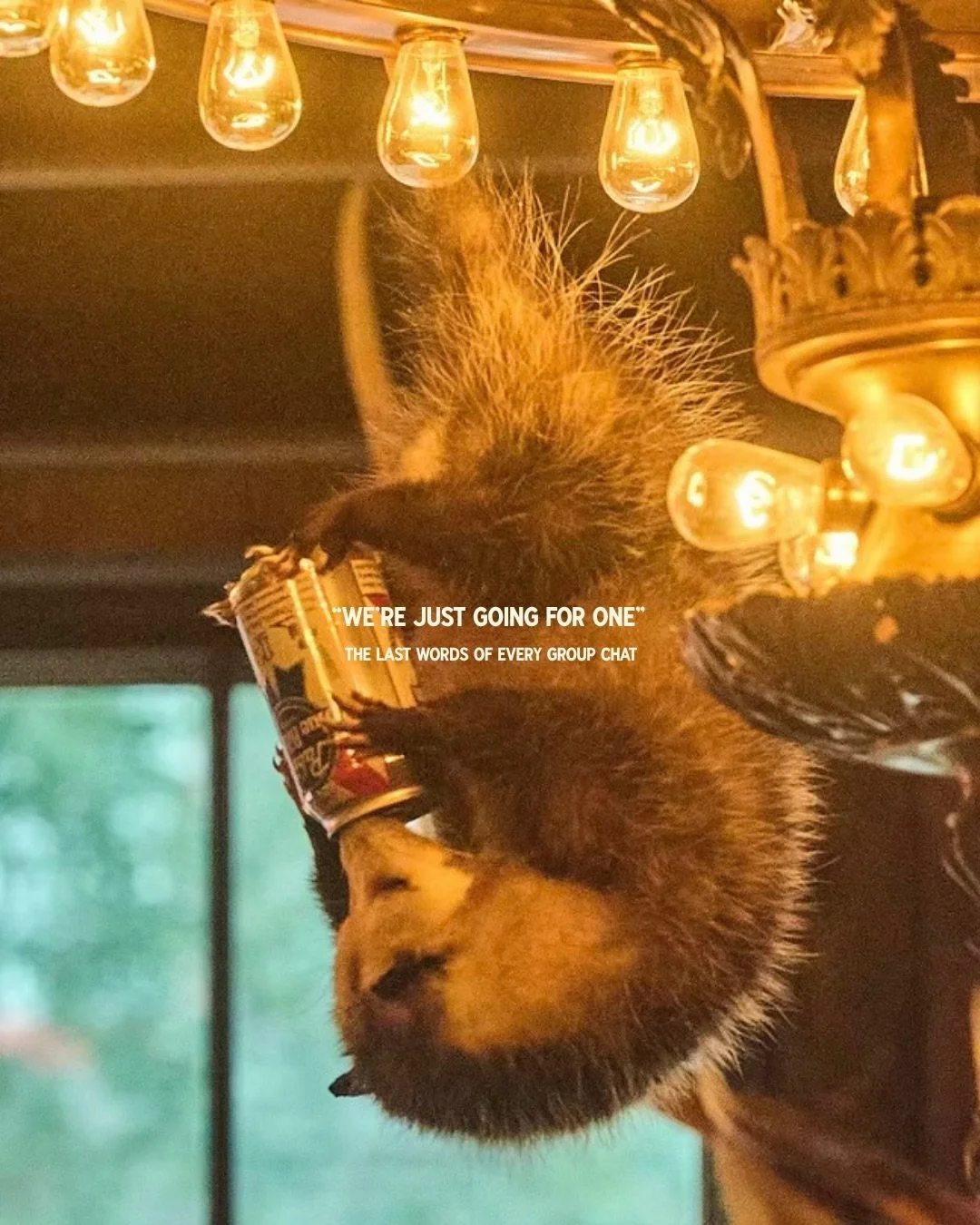 Whatever you say