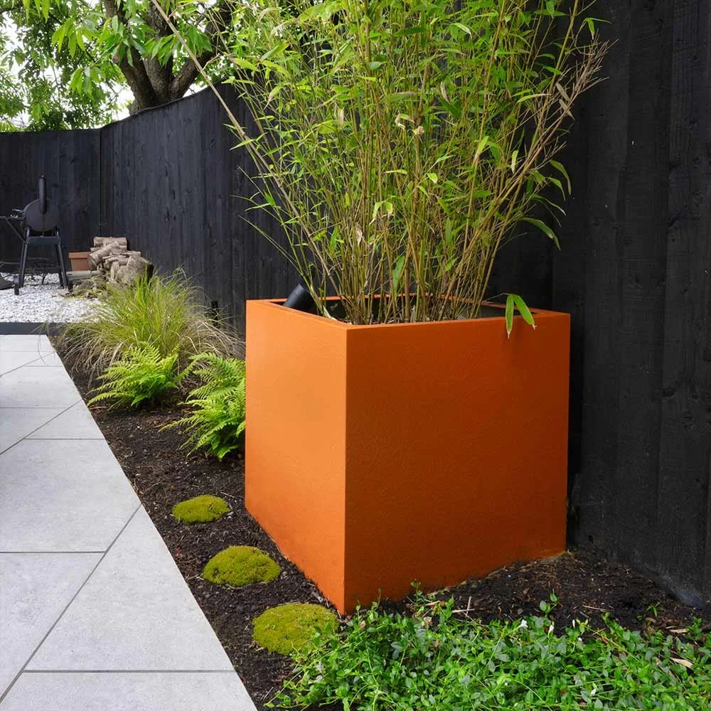 Bamboo in orange planter with ground cover plants