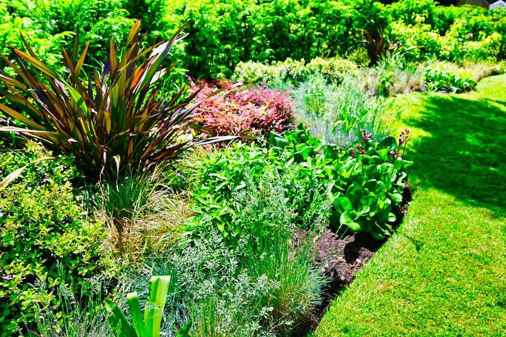 winter-border-and-rill.jpg