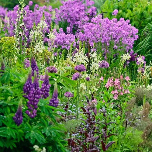 adapting-existing-garden.jpg