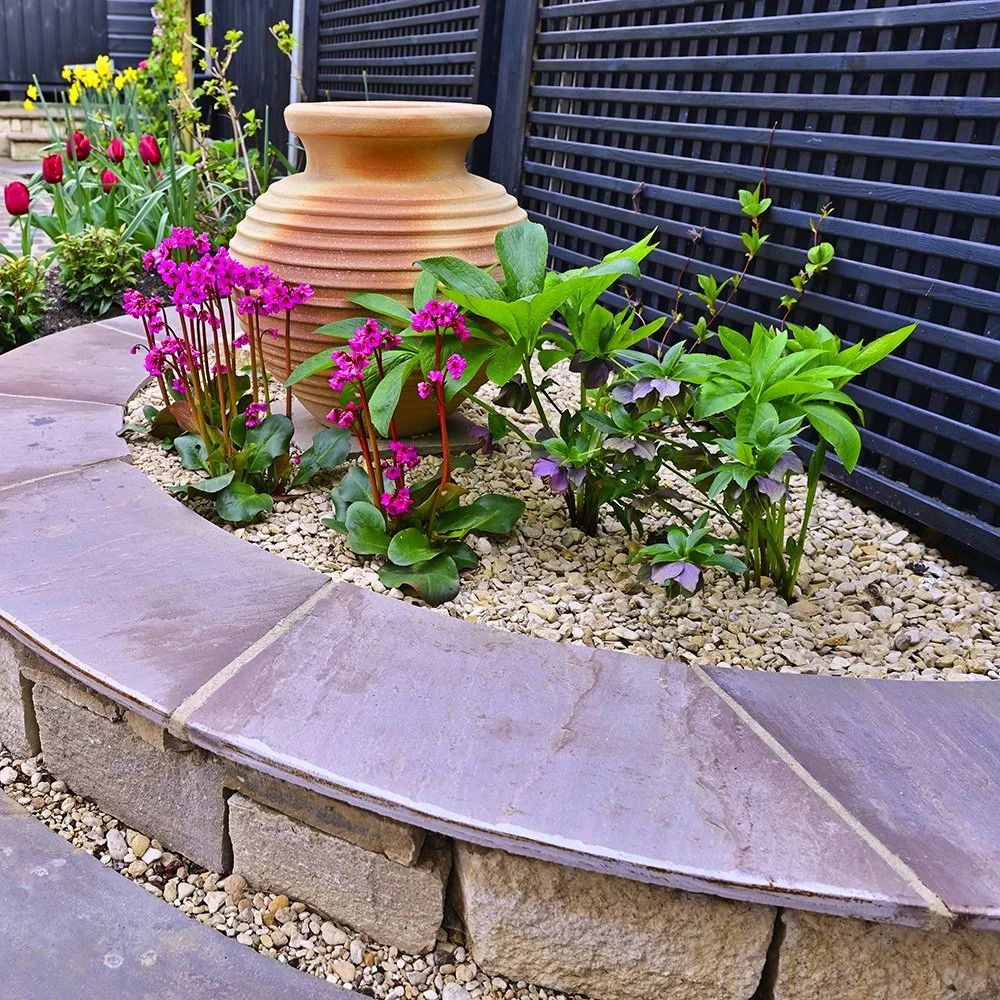 wildlife garden 16.jpg