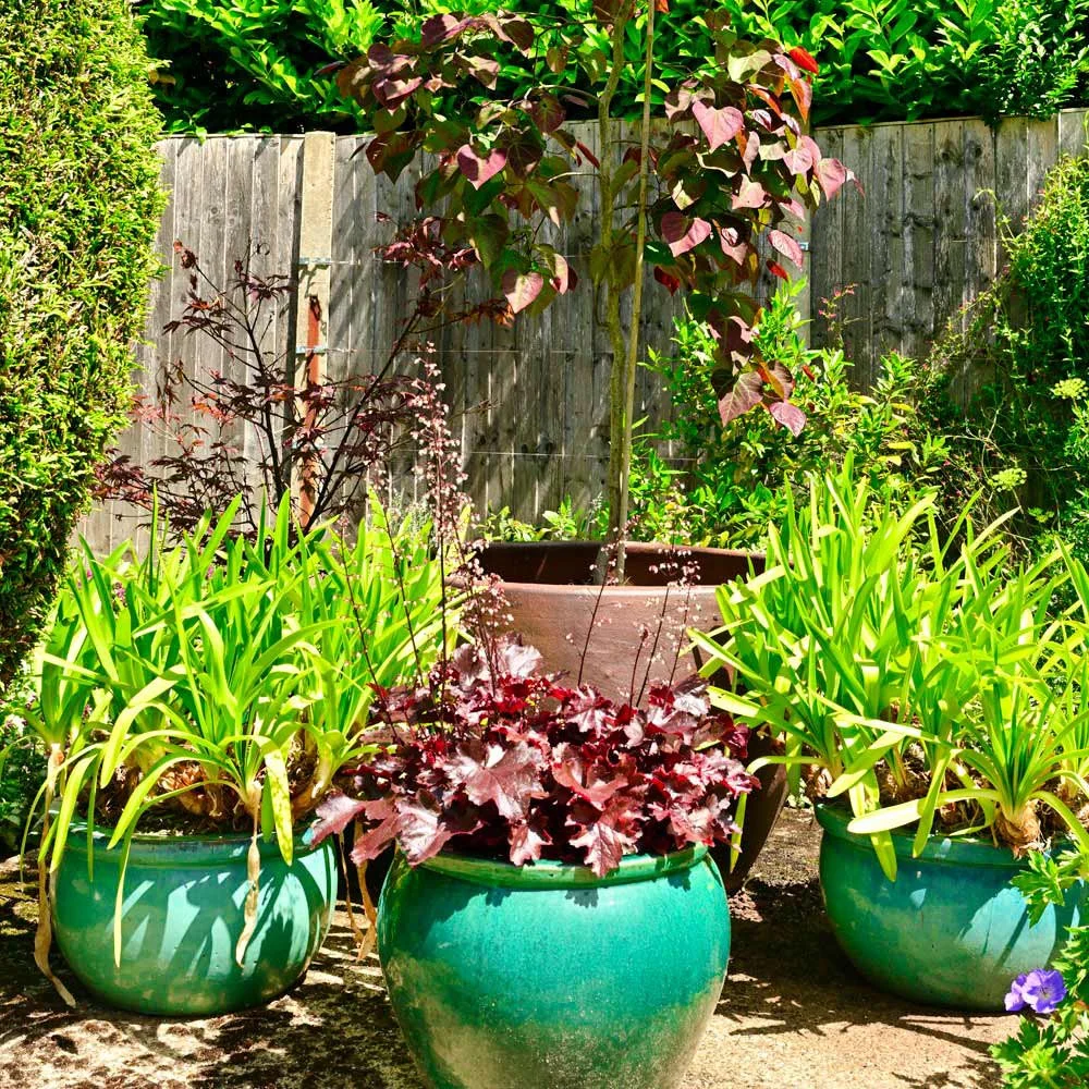 water-rill-11.jpg