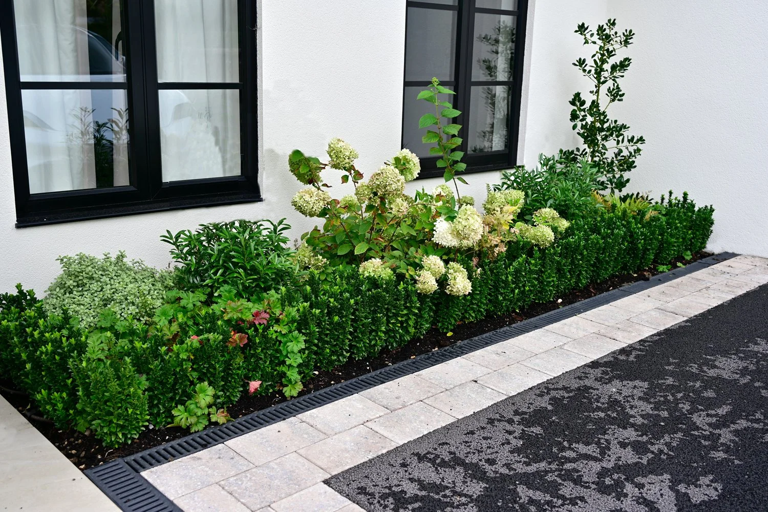 front garden right border.jpg