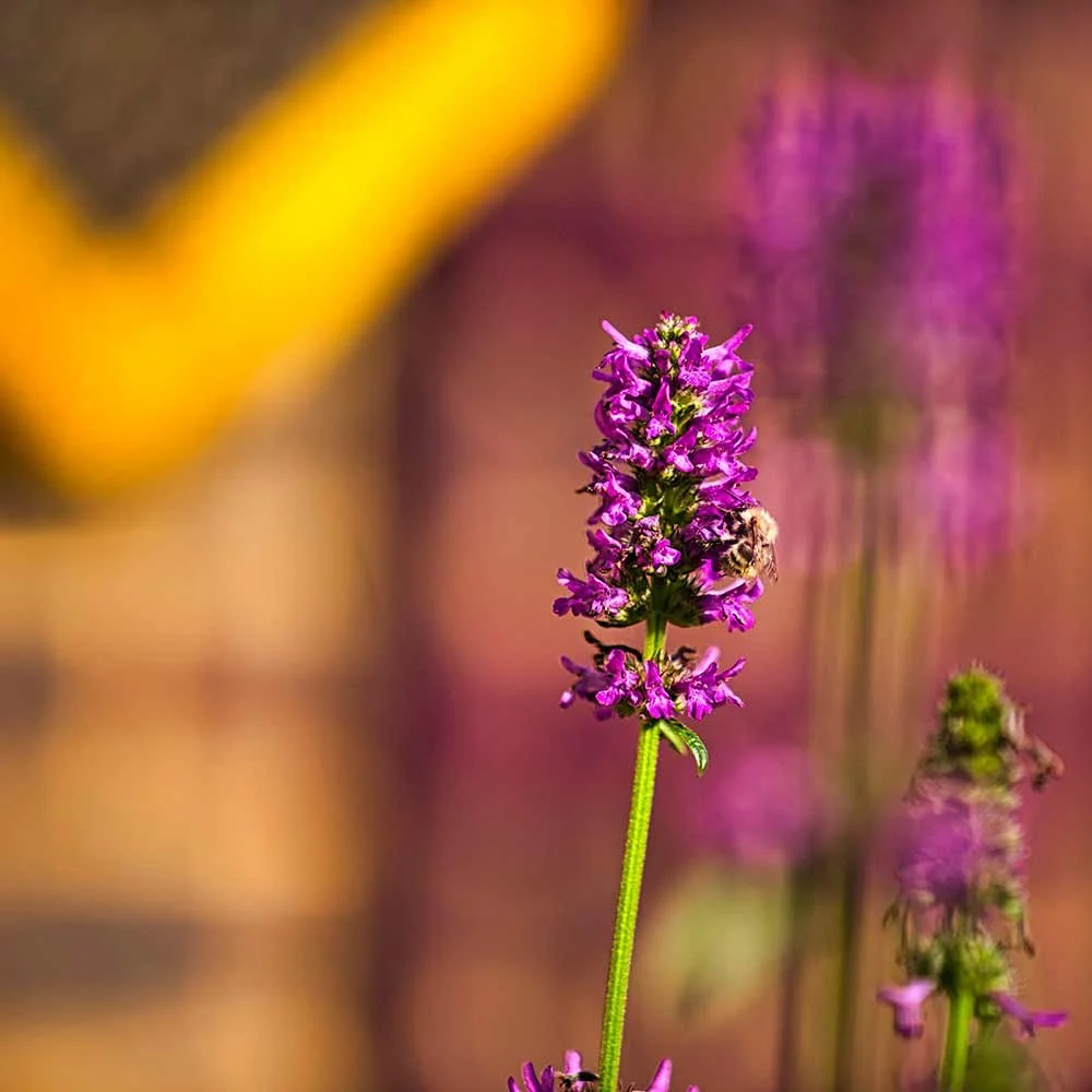 geometric-new-3.jpg