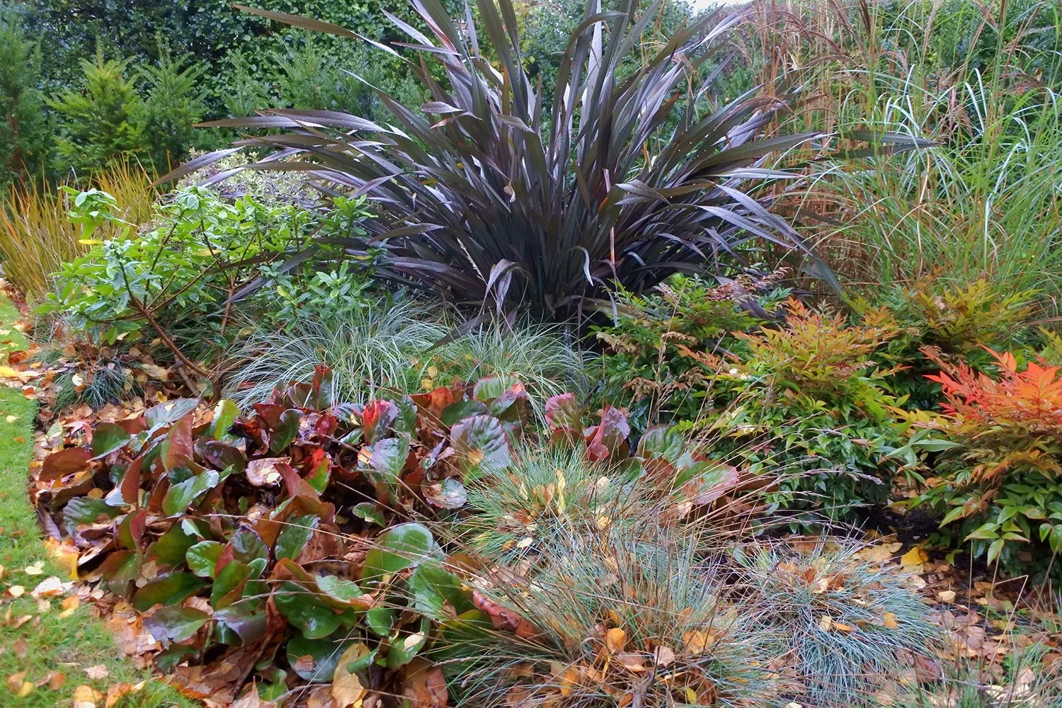 winter border.jpg