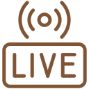 Icon of a live broadcast indicator with sound waves and the word 'LIVE' in a rectangle