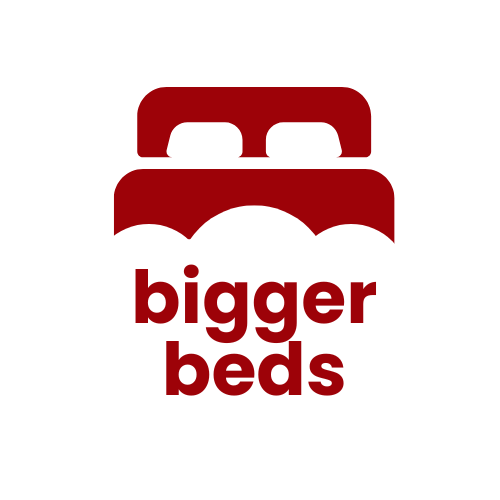 SAI_CBB_Logo.png