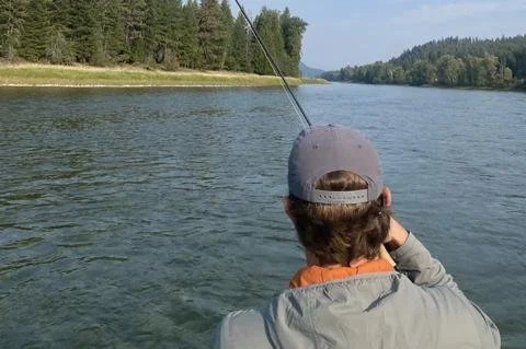 STREAM DYNAMICS 101-RUNS