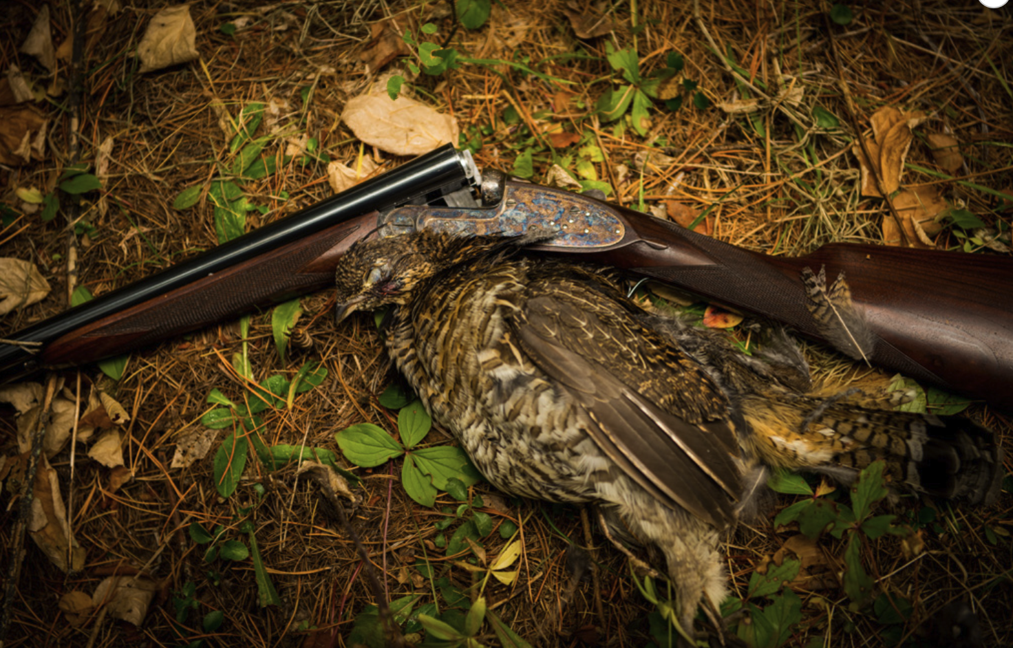 2022 GROUSE HUNTING SEASON REVIEW