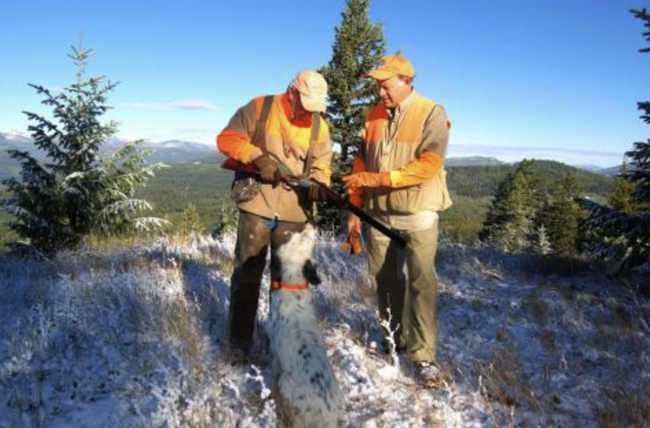 KEEPING YOUR DOG HYDRATED ON COOL DAYS