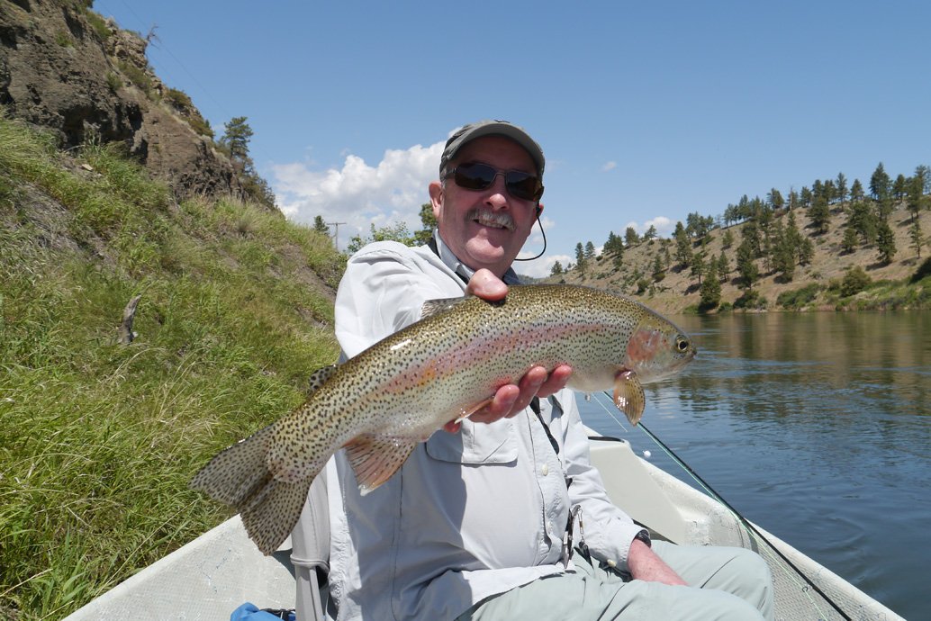 Missouri rainbow trout.jpg