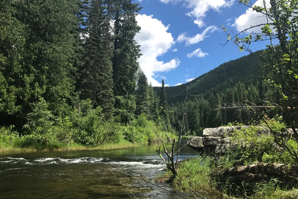 small stream scenic(1).jpg