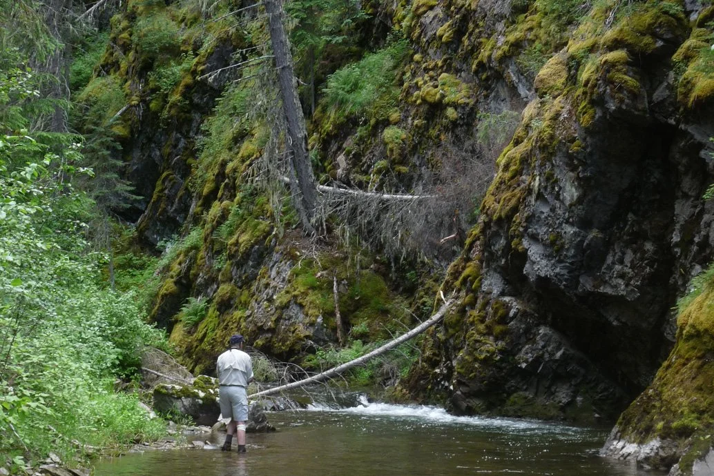 tributary fishing.jpg