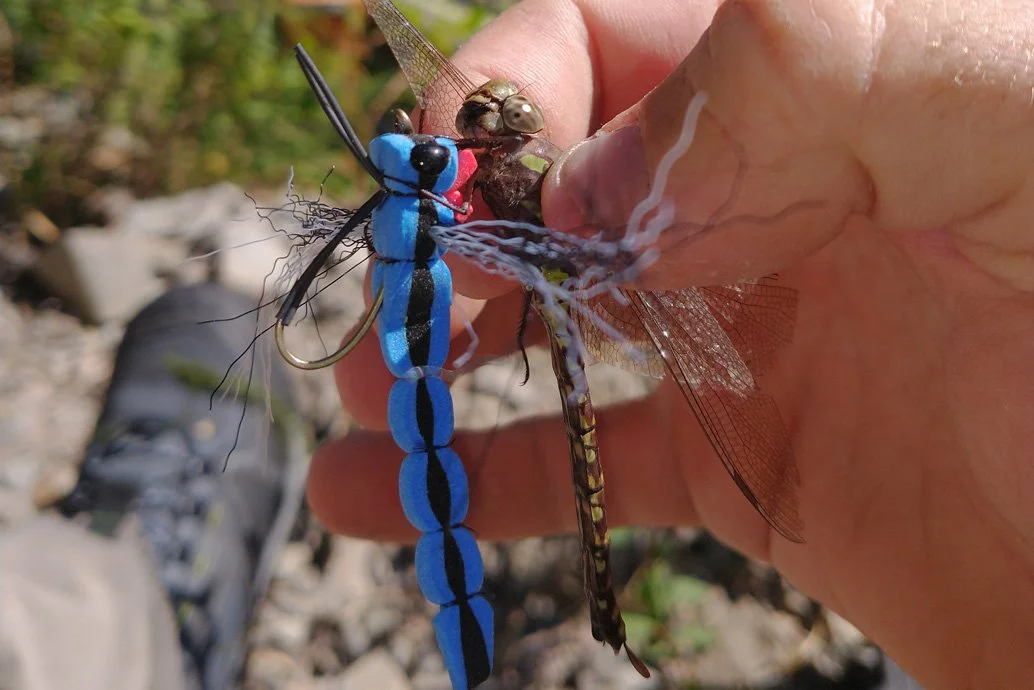 damsel fly and pattern.jpg