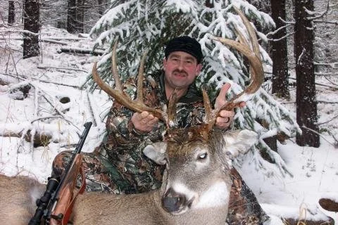 Rat creek buck snow.jpg
