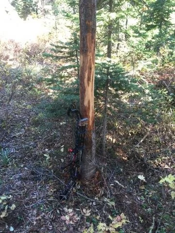 bow and elk rub_0.JPG