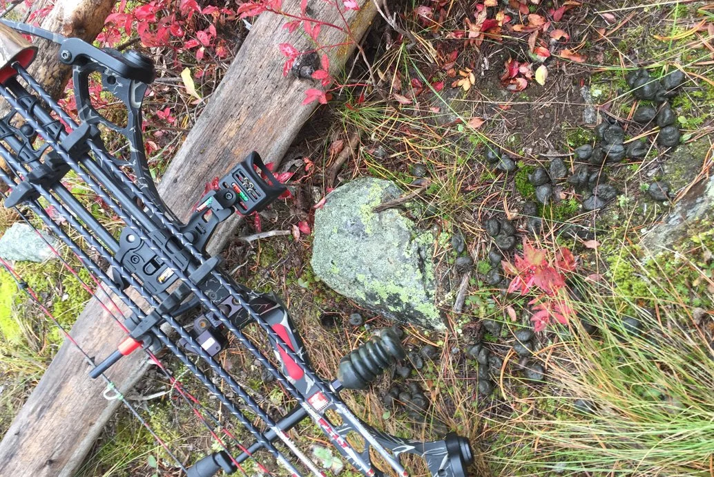 bow and elk sign.jpg