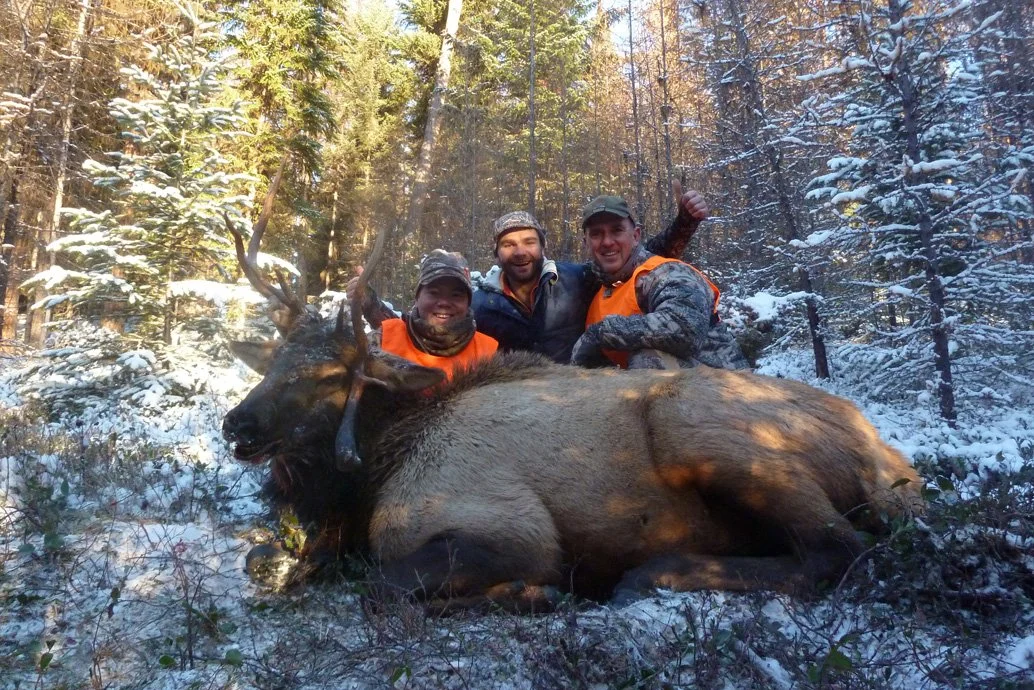 benny michael bull.jpg