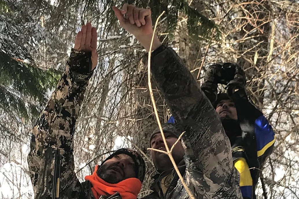 cat hunters looking up.jpg