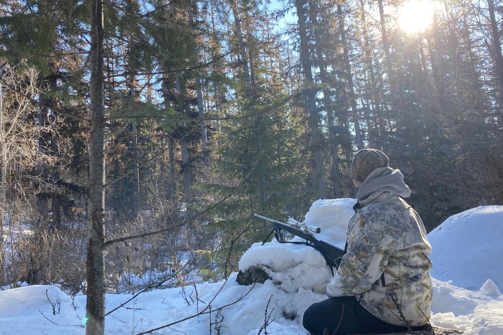 staked out wolf hunting.jpg