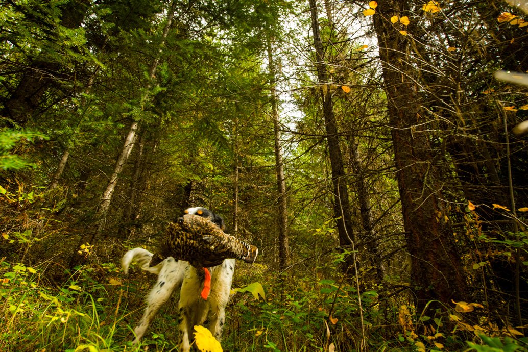 maggie with bird.jpg