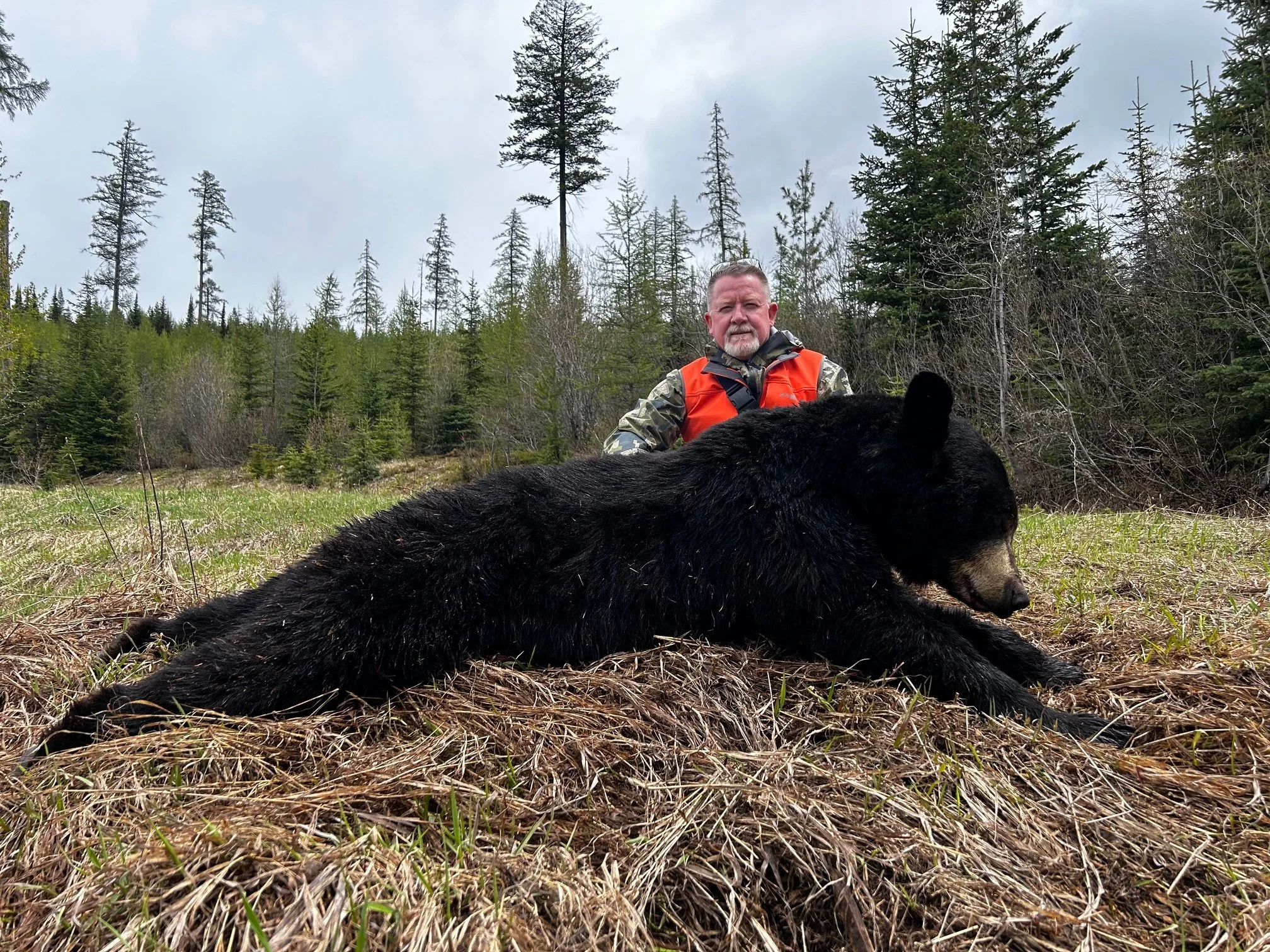 MONTANA SPRING BEAR HUNTING TIPS