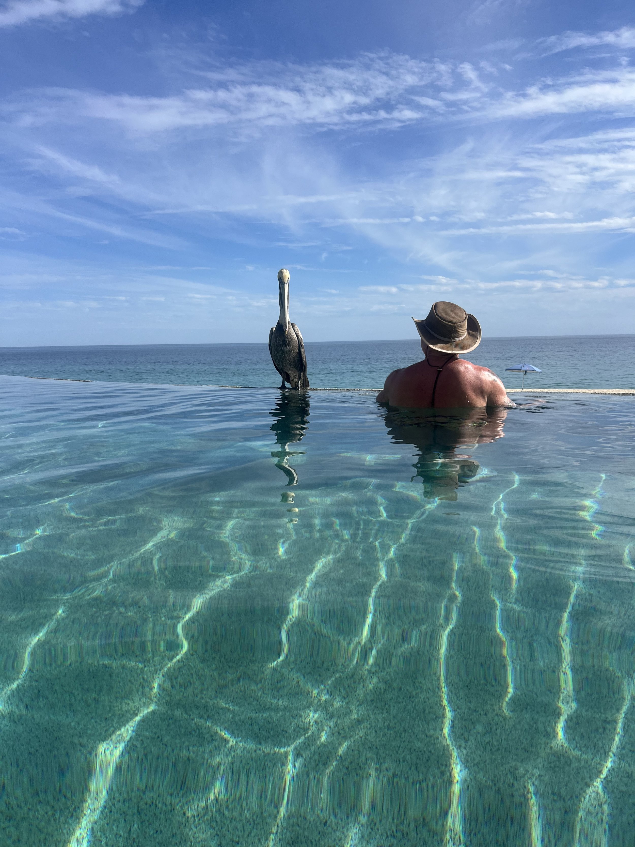 A man relaxing in an infinity pool with a wide view of the ocean and sky, wearing a wide-brimmed hat.