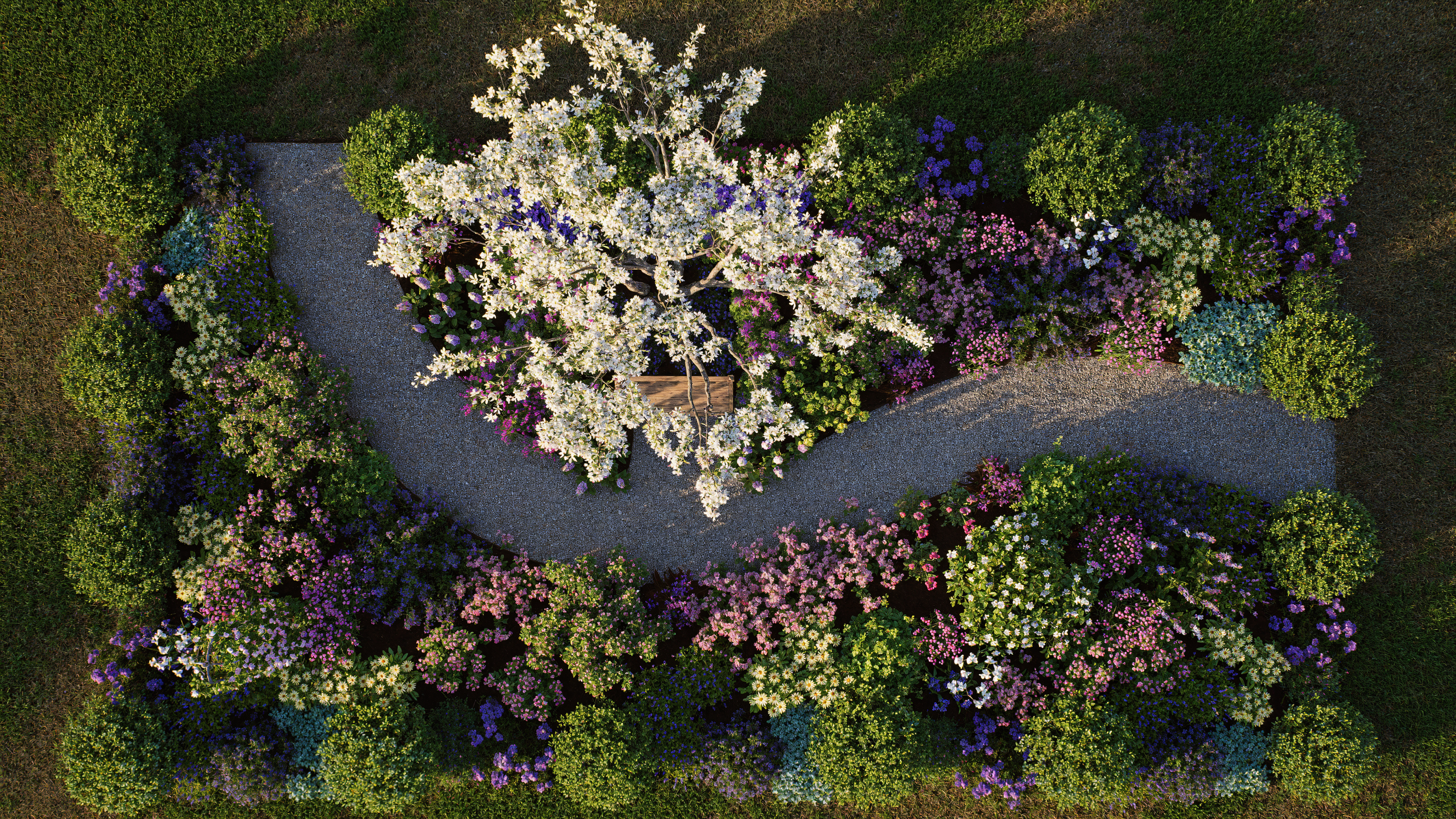 DRFS - Morn- plan view.png