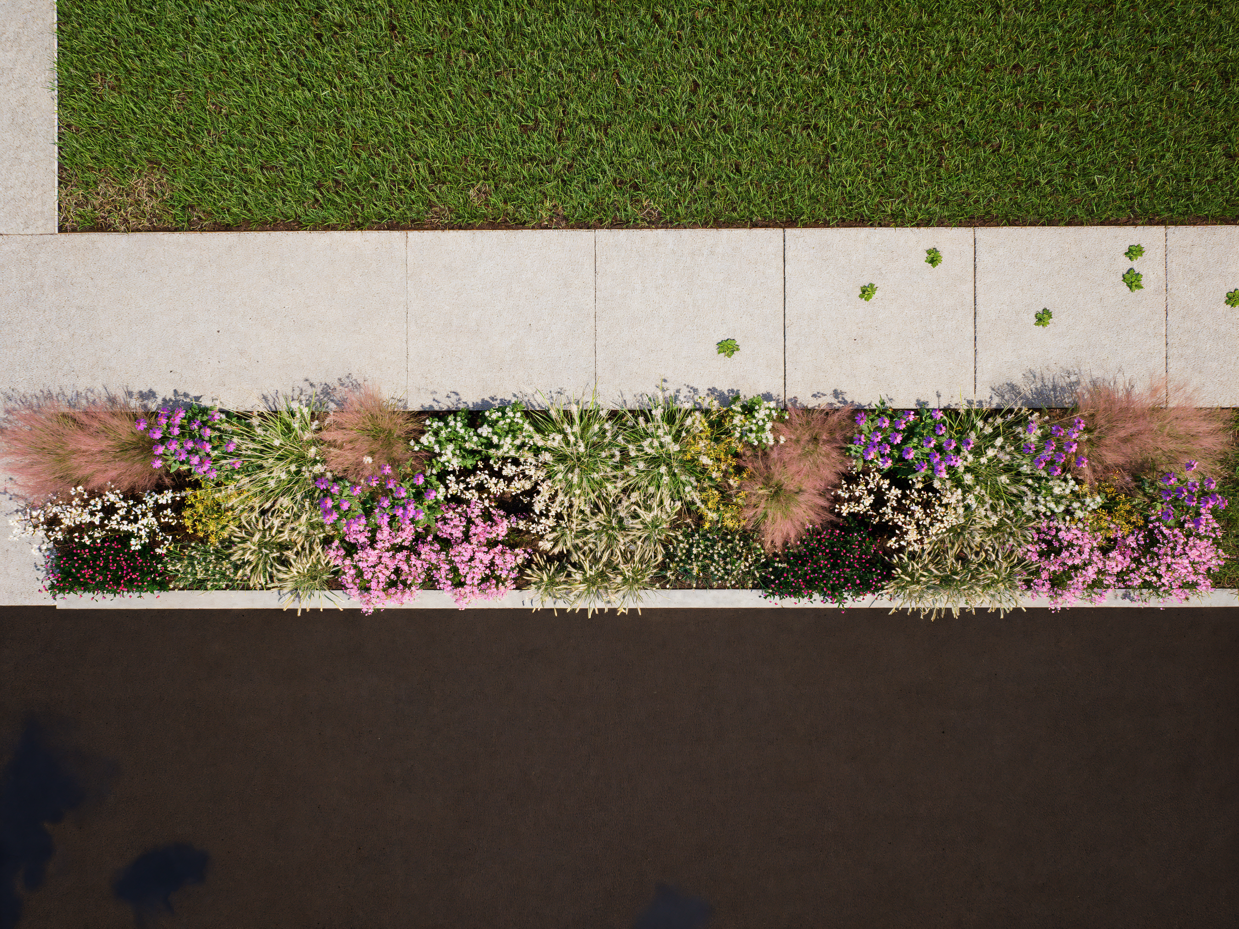 Portrait 3 Aerial Sunny 2.0 - 2k.png