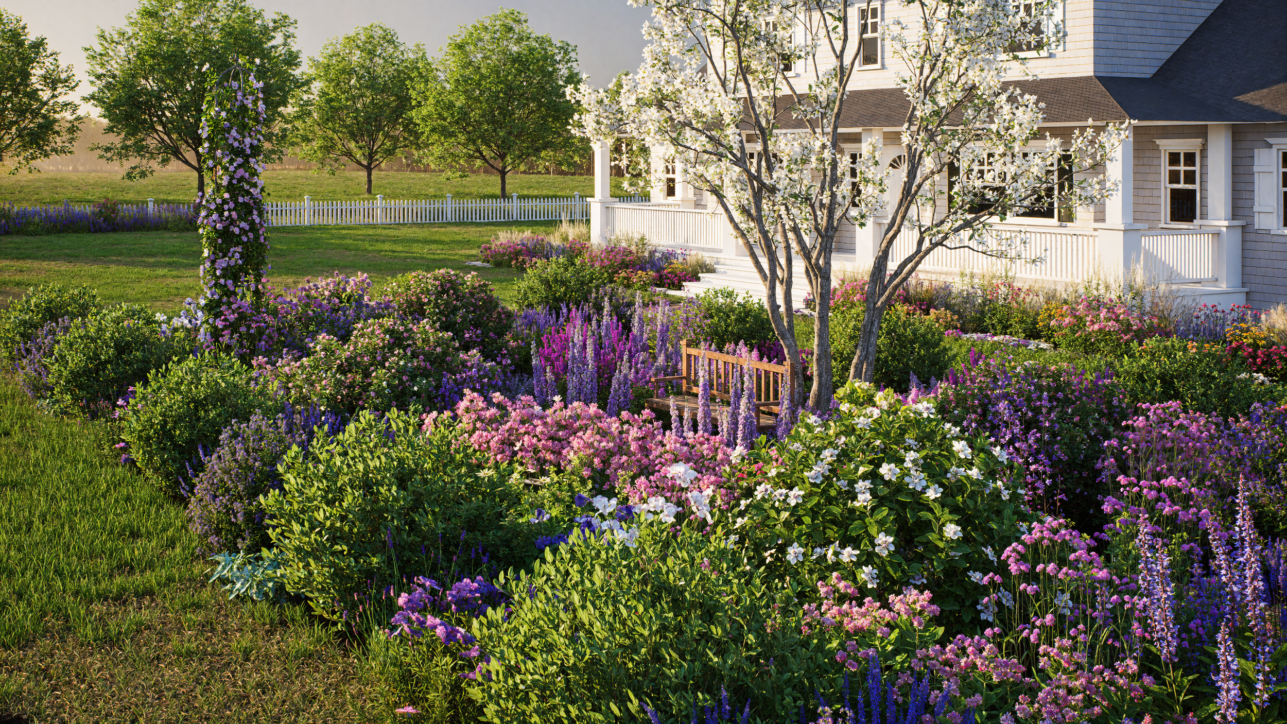 DRFS-Morn-WIDE new view 2.png