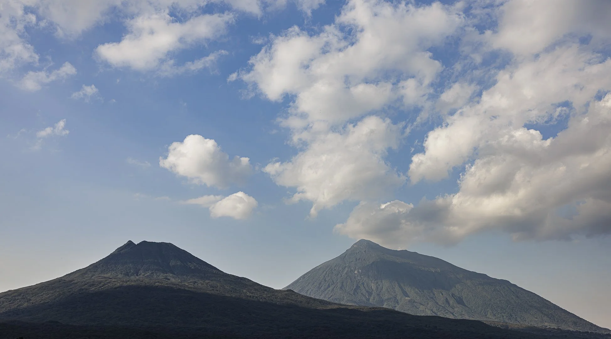 D25A7362-Enhanced-NR.jpg