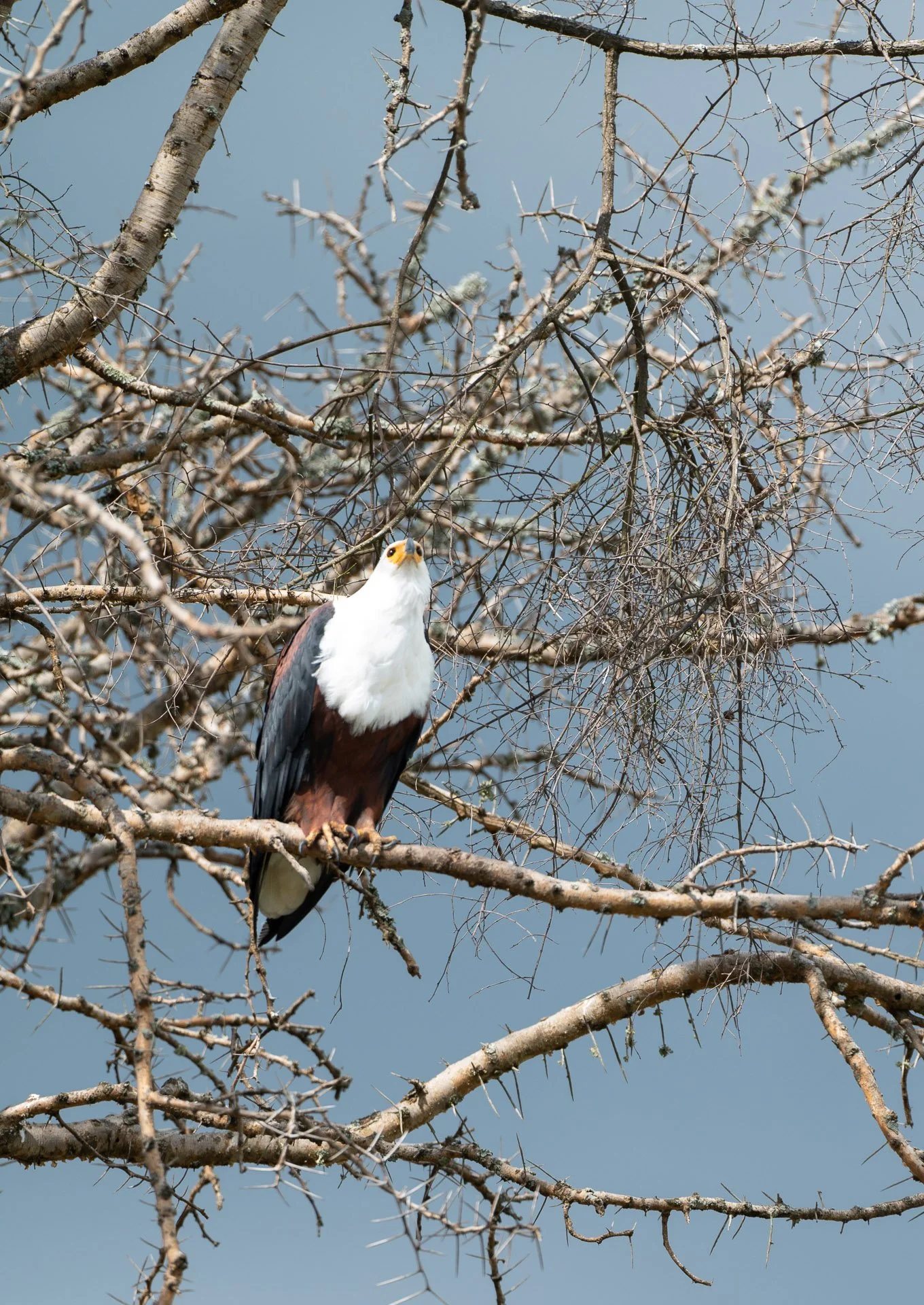 DSC_1099.jpg