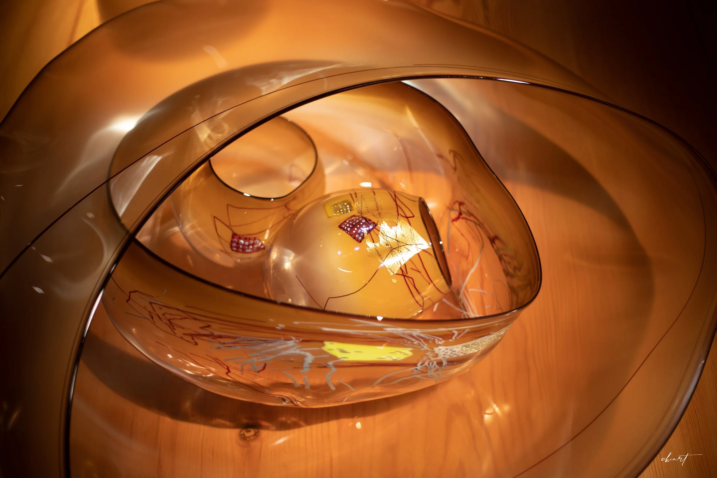 DT7A7365.jpg