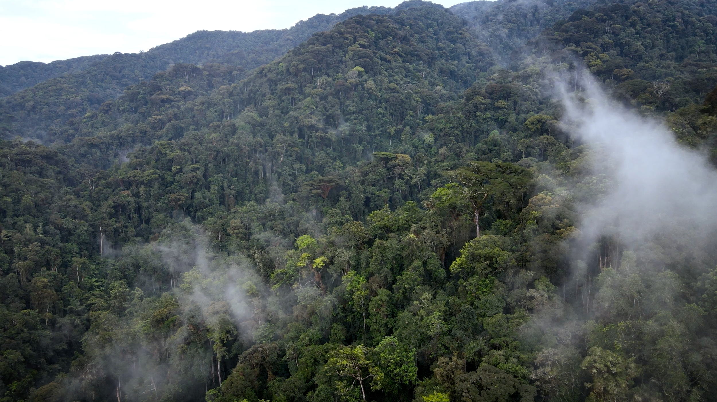 Screenshot 2025-07-31 at 12.12.21.png