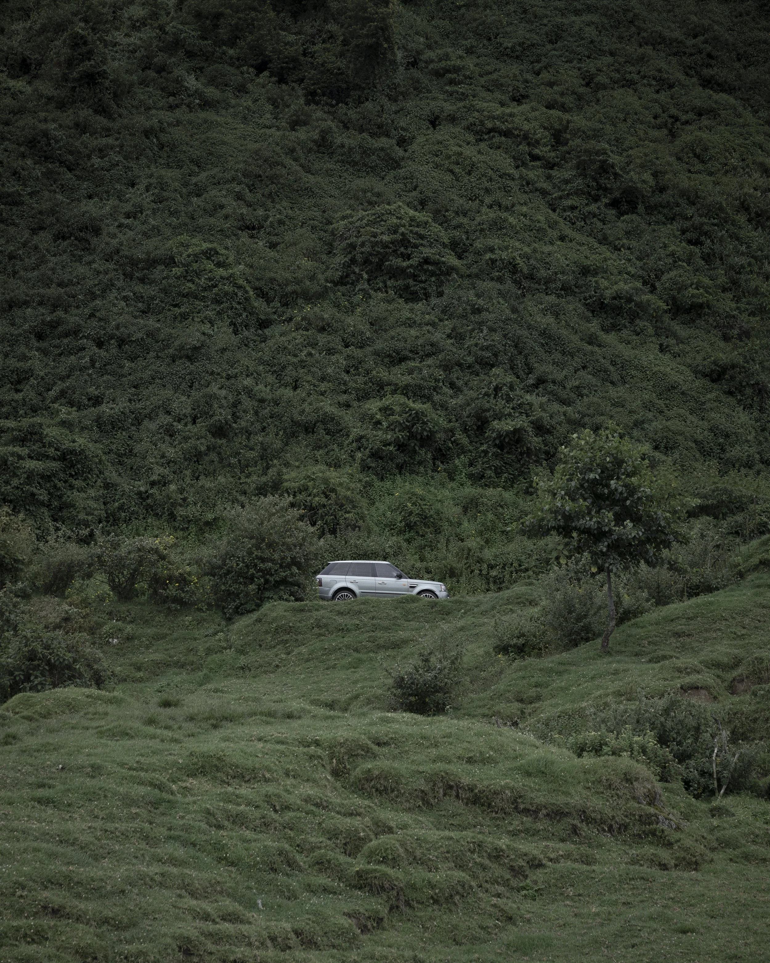 green range