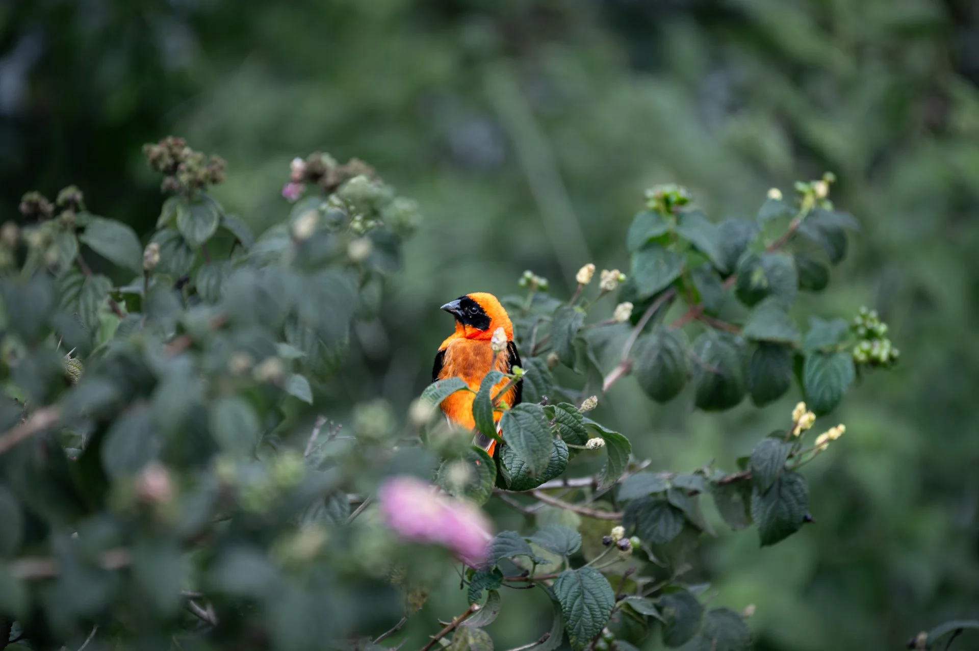 DSC_0123.jpg